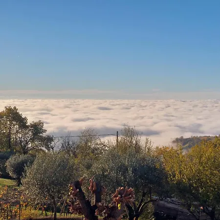 Al Colle Montebello Vicentino
